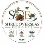 Shreeoe04 Profile Picture