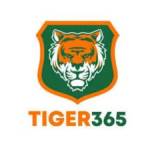 tiger 365info Profile Picture