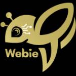 Webie Vietnam Profile Picture