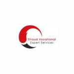 Stroud Vocational Expert Services, LLC Profile Picture