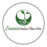 Luwasa Indoor Plant Hire Profile Picture